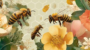 蜜蜂在花丛间忙碌采蜜