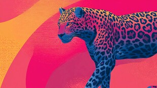 彩色猎豹 活力背景插画