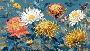 秋日菊花绽放绚丽图景