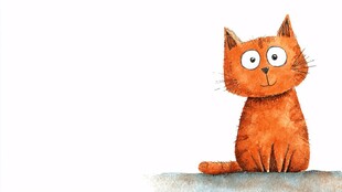 可爱橘猫萌趣插画形象