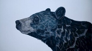 黑熊侧面肖像艺术画