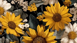 向日葵花卉图案精美背景