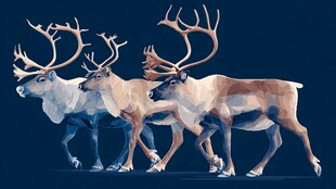 三只驯鹿的几何风插画