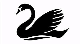 优雅黑天鹅图案设计