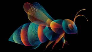 炫彩立体蜜蜂艺术形象