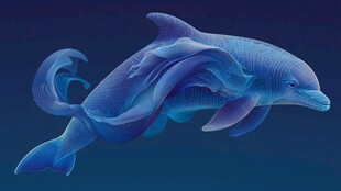 梦幻蓝色海豚灵动造型