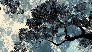 水墨风格下的繁茂树枝