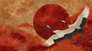 丹顶鹤朝阳展翅图