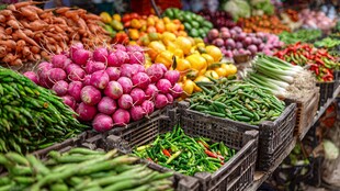 新鲜多样的市场蔬菜陈列