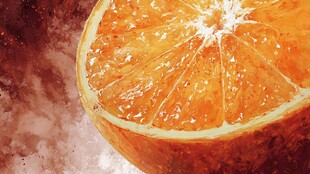 水彩风橙子切片特写