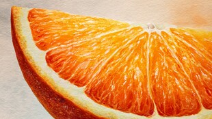 橙香切片 水彩绘就美味