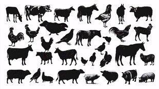 农场动物剪影集合