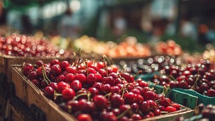 新鲜樱桃摆满市集摊位