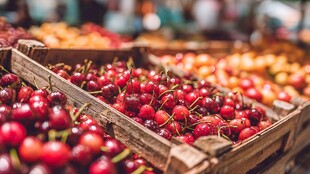 木盒中饱满诱人的新鲜樱桃