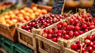 新鲜樱桃等水果摆满摊位