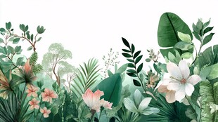 热带绿植花卉清新插画