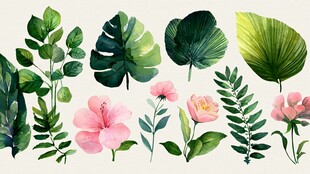 水彩风花卉绿植插画素材