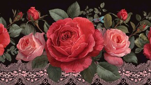 复古玫瑰蕾丝花边图案