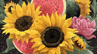 向日葵与西瓜的缤纷组合