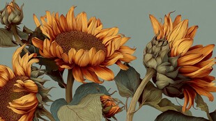 向阳而生的绚烂向日葵