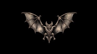 暗黑风展翅蝙蝠图案