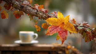 秋景 枝叶与咖啡杯的诗意