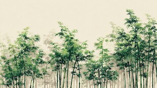 水墨竹林 清幽自然之景
