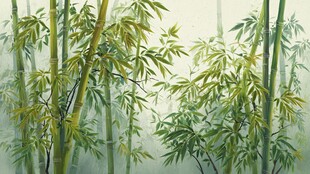 水墨竹林 清幽之景