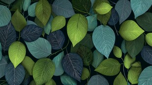 清新绿叶背景图案