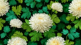 白菊绿叶无缝花卉图案