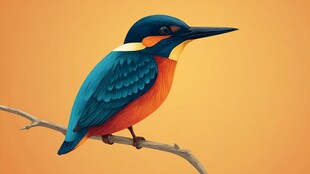 栖息枝头的多彩翠鸟