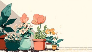 墙边多彩盆栽植物插画