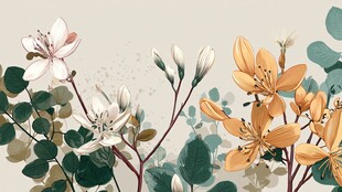 淡雅花卉植物插画