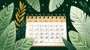 日历置于绿植间的清新画面