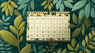 绿叶环绕的精美台历