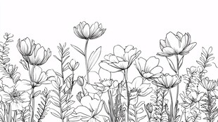 手绘花卉线条插画