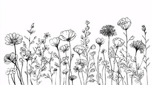 手绘花卉线稿图