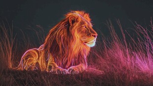 霓虹雄狮卧于幻彩草丛间