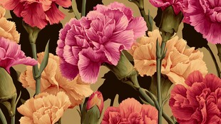 多彩康乃馨花卉图案