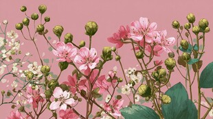 粉色花卉浪漫唯美插画