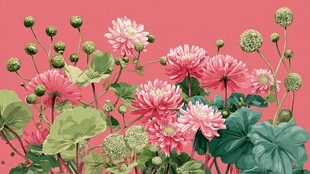 粉色花卉植物清新插画