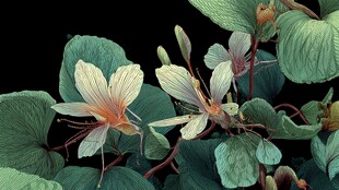 清新淡雅的花叶特写