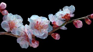 梦幻几何风绽放的桃花枝