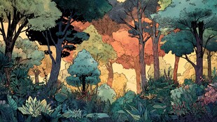 梦幻森林中的多彩植被景观