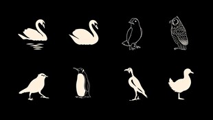 鸟类动物简约图标集合