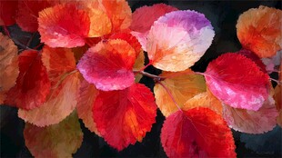 秋意斑斓树叶水彩画