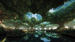 奇幻森林中的静谧水畔风光