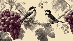 枝头双鸟伴紫葡萄图