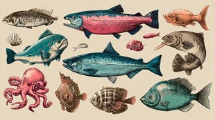 多样海洋鱼类插画集合