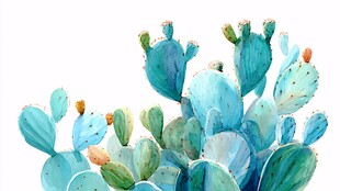水彩风仙人掌群绘